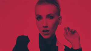 Steven Burgin Celebrating 20 years Promo Video