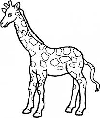 Tu veux te protéger de la pluie ? Coloriage Girafe Et Sa La Longue Cou Dessin Gratuit A Imprimer