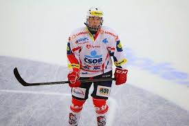 Michael špaček (born on april 9, 1997 in mariánské lázně) is a czech professional ice hockey center/right winger. Hc Dynamo Pardubice Alou Na Piskoviste Nad Pokriky Se Michael Spacek Povznasi