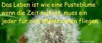 Schone Spruche Zur Zeit Vergeht Kurze Texte Nehmen Zitate Thema Gedichte