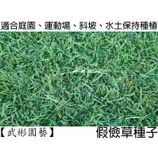 百慕達草 假儉草(蜈蚣草) 類地毯草 馬蹄金(珍珠草) 多年生黑麥草 闊葉韓國草 æ­¦å½¬åœ'è— å‡å„‰è‰ç¨®å­ ä¸€ç™¾å…¬å…‹è£ æœªè£¹ç²‰å¯æ''ç´„10åª è¦çš®è³¼ç‰©