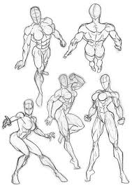 Molly smith dipcnm, mbant • reviewer: Here S Some Figure Practice I Ve Done Recently Trying To Get Used To The Way The Back Muscles Work And Also Human Figure Drawing Figure Drawing Drawing Poses