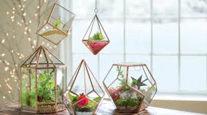 Home » panduan terrarium » panduan cara membuat tanaman terrarium indonesia. Cara Membuat Terrarium Blog Qhomemart