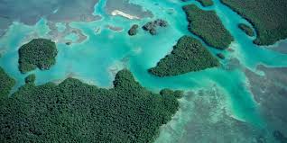 Sian ka'an is susceptible to frequent and heavy tropical storms. Https Www Ramsar Org Sites Default Files Documents Library Ramsar Whc Case Study Sian Kaan E Pdf