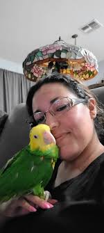 Is someone here using Parrot Disco for hobby or rescue?