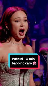 Maxi Borgaro Net Worth: Male Tenor Singers