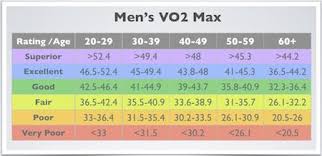 Vo2 Max Predict Your Cardiovascular Health Fitness Tests