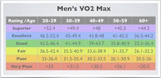 vo2 max predict your cardiovascular health fitness tests