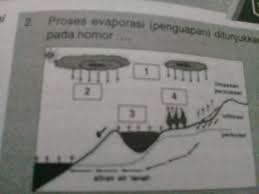 Cairan pada molekul tersebut dapat atau bisa memperoleh cukup sebuah energi steam heated evaporator ini adalah evaporatoryakni dengan pemanasan stero yang mana auap atau. Proses Evaporasi Penguapan Ditunjukan Pada Nomor Brainly Co Id