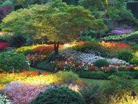 Jardin Botanique Villa Thuret 90 Chemin Raymond 06160 Antibes Juan Les Pins France Jardin Botanique Jardins Jardins Du Monde