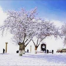 مدينة مليانة العريقة تحت الثلج في ولاية عينالدفلى الجزائر tourism outdoor algeria