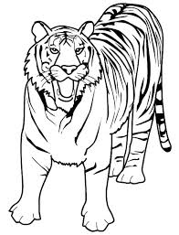 Tiger Coloring Pages Ideas With Awesome Pattern Free Coloring Sheets Zoo Coloring Pages Tiger Pictures Shark Coloring Pages