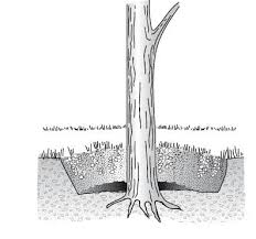 Maybe you would like to learn more about one of these? How To Level Your Lawn Area Dummies