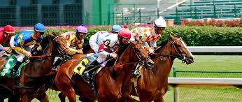 Address search, weather forecast, city list of saskatchewan (canada). Churchill Downs Seating Chart Map Seatgeek