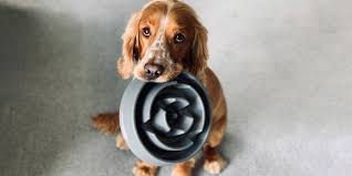 Rachael ray nutrish natural dry dog dog food by brand. The Best Dog Food According To Experts And Veterinarians
