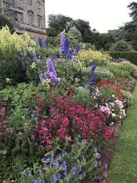 I Had The Pleasure Of Visiting Howick Hall Gardens Today Located In North East England Gardening Garden Diy Home Flowe North East England Visiting Howick