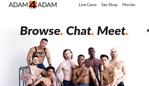 Google meet mod apk features Adam4adam Opinion Noviembre 2021 Pros Y Contras Todas Las Funciones Del Servicio Datingmentor
