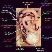 Charts Ears Piercings Bodyart Bodymodification Ear Piercing Diagram Ear Piercings Chart Piercing Chart