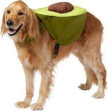 Golden retrievers are called america's sweethearts by some, and have been among the most popular breeds for decades. Golden Retriever Halloween Costumes