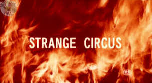 Strange circus (奇妙なサーカス, kimyō na sākasu) is a 2005 japanese horror drama film written and directed by sion sono. Strange Circus Kimyo Na Sakasu