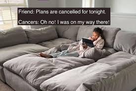 Here, you'll find your sign's best zodiac match in bed because the more you know, well, the more fun you can have. 19 Funny Cancer Zodiac Sign Memes All Crabs Will Love Let S Eat Cake