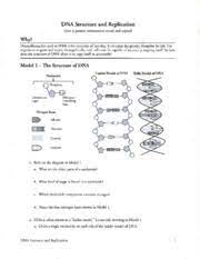 Dna stands for deoxyribonucleic acid. Dna Str And Replication Dna Structure And Replication How Is Genetic Information Stored And Copied Ww Niolecule Of Heredity It Contains The Course Hero
