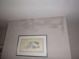 For many interiors, fireplaces can make a great focal point in a room. Turner Baker S Guide To Damp In A Chimney Turner Baker