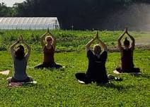 Monthly Meditation: Nature-Based Mindfulness
