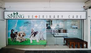 Clinic of amarillo are not a full service vet and recommends that each of your animals have a veterinarian. Spring Veterinary Care Veterinary Clinic In Singapore Shopsinsg