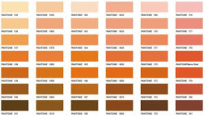 pantone colour chart ochre between earth and rose