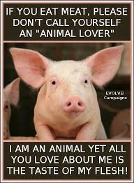 Cute Pigs Animal Lover Pig
