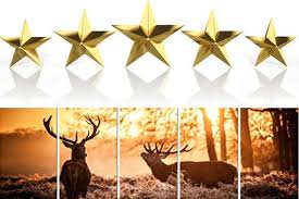 Example sentences from the web for elk. Arizona Elks Association Elks Care Elks Share