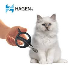 We did not find results for: Achat Salon Du Chat A Prix Bas Neuf Ou Occasion Rakuten