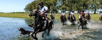 Unicorn trails unicorn trails' horse riding holidays in argentina are a natural way to explore the culture and landscapes that make argentina special. Horse Riding Holiday In The Ibera Wetlands