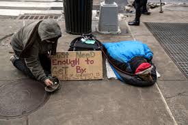 Here are 10 great ideas to get you started. Helping The Pets Of The Homeless The New York Times