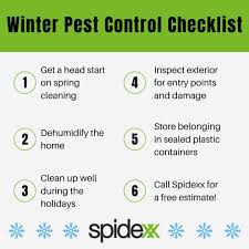Pest control veteran and expert, james mcgowan from zap pest control, has over 15 years of experience. Spidexx Pest Control Spidexxpest Twitter