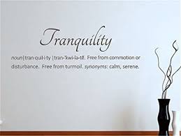 The array of painted backgrounds and furnishings used to establish the setting in a stage production. Amazon Com Gtrsa Tranquility Definitions Wall Quote Home Bath Decor Spa Decor Serenity Dictionary Definition Inspirational Wall Decal Church Wall Decal Daycare Wall Decal Bible Hymn Home Kitchen