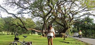 Taiping prison — taiping prison, originally called the perak prison and better known as taiping gaol , was perak — subdivisions of malaysia native name=ڨيرق دار الرّضوان conventional long name. Taiping Travel Guide Things I Loved In Taiping Perak Malaysia Jona Of Backpacking With A Book