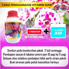 Saya minat pada pokok orkid tapi takut nak tanam kerana merasakan ianya susah untuk dijaga. Promo Vitamin Siam Baja Semburan Organik Thailand Shopee Malaysia