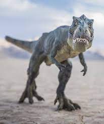 The rex system is the term used to designate the system of certification of origin as a whole, and not only the underlying it system which is used for the registration of exporters. Tyrannosaurus Rex Mega Dino T Rex War Viel Langsamer Als In Jurassic Park Ratgeber Bild De