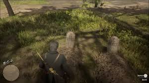 Visiting all 9 graves will reward the achievement arthur played a pivotal role in ensuring john, abigail, and jack were able to survive the implosion of the van der linde gang. Red Dead Redemption 2 Alle Graber Fundorte Fur Respekt Zollen