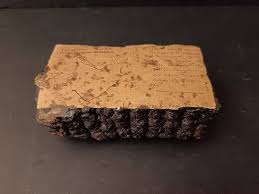 Image result for Landolphia kirkii