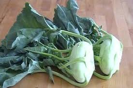 Video Kohlrabiblatter Essen Leckere Zubereitungsmoglichkeiten