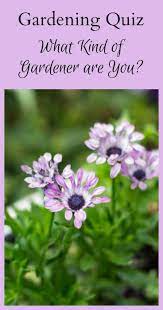 No time like the present. Garden Plants Quiz Questions