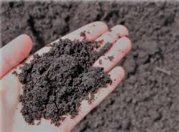 Choosing the best lawn soil composition. Soil Amendments Guide Improve Soil Quality For A Healthier Lawn Diy Lawn Expert