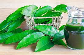 Image result for Tiliacora