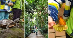 Botanischer garten augsburg | botanische gärten, arboreten und parks in deutschland. Familien Ausflug In Den Botanischen Garten Munchen Ausstellung Tropische Schmetterlinge Ich Spring Im Dreieck