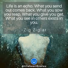 Life Is An Echo What You Send Out Comes Back What You Sow You Reap What You Give You Get What You See In Others Exists In Y Life Quotes Quotes