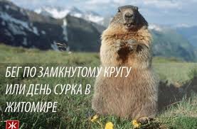 День сурка дисконт в тц экстрим. Zhitomir Info Beg Po Zamknutomu Krugu Ili Den Surka V Zhitomire