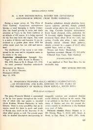 Image result for Wiesneria